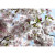 Spring Blossom Wall Mural