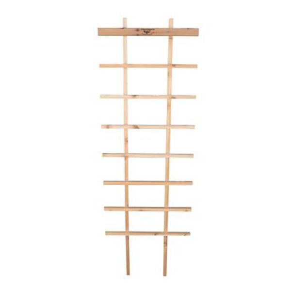 Folding Trellis 24x72''H