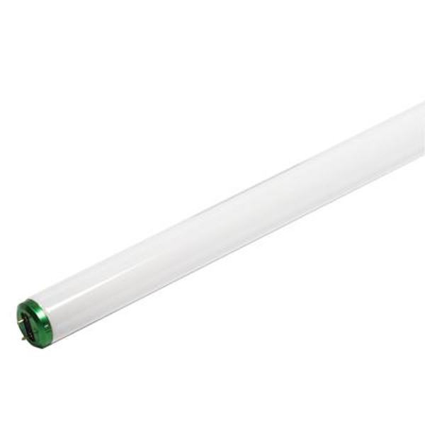 Fluorescent 17W T8 24 Inch Soft White (3000K) - Case of 30 Bulbs