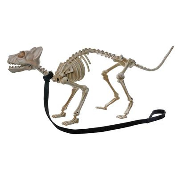 Animated Halloween ''Skelton Cat'' With LED Illuminated Eyes; Sound Effects And Try-Me Feature - Requires 3 ''AAA'' Batteries