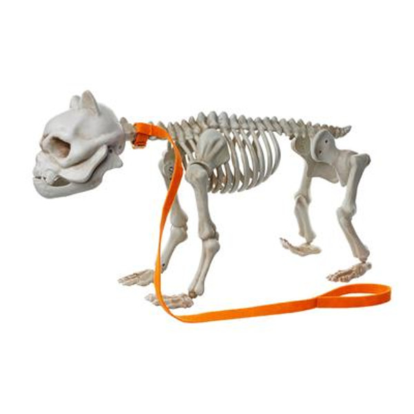 Animated Pit-Bull With LED Illuminated Eyes; Halloween Sound Effects And Try-Me Feature - Requires 3 ''AAA'' Batteries