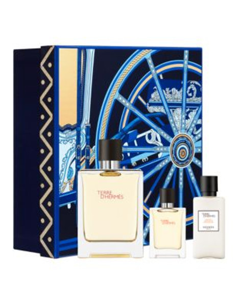 Hermès Terre d Hermes Fetes en Hermes Eau de Toilette Set - 100 ML