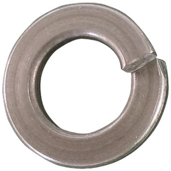 1/4 Bs Ss Med Lock Washer
