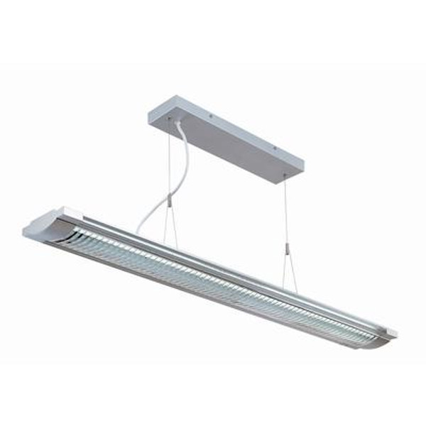 2 Light Ceiling Lamp Silver Finish