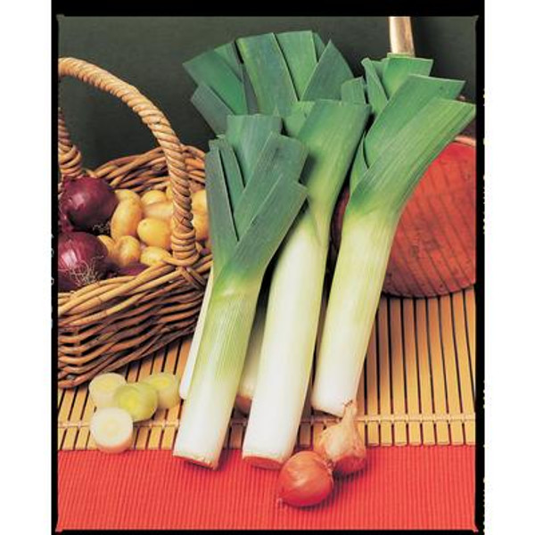 Leek Malabar