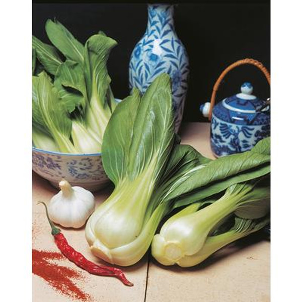 Pak Choi Long White Petiole