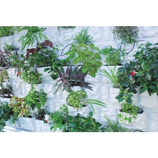 PlantScape - Vertical Garden - Stone