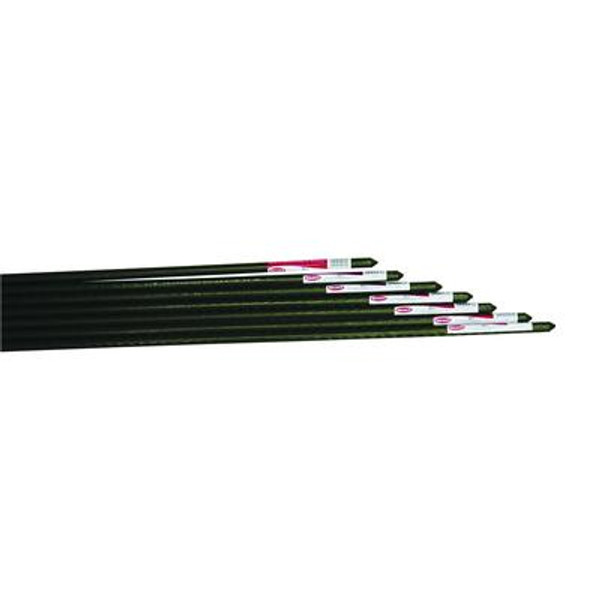 Select Plasticized Metal Stakes - 2'