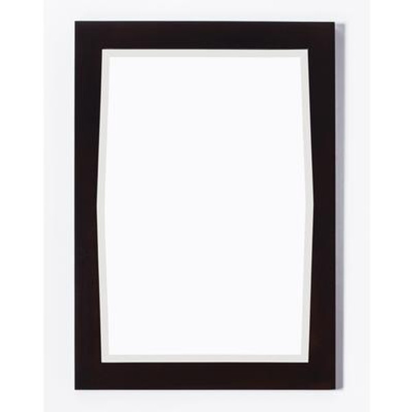 24 Inch x 34 Inch Rectangle Wood Framed Mirror in Antique Walnut Finish