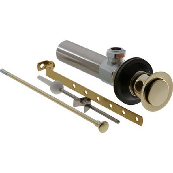 Bathroom Faucet Drain Assembly in Polished Brass