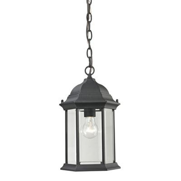 Outdoor Pendant In Matte Textured Black