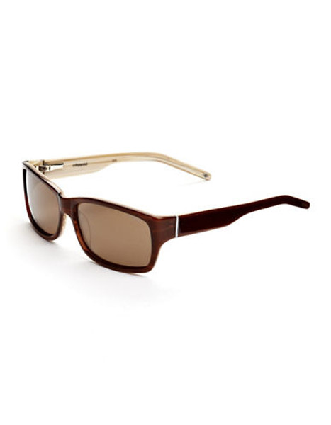 Polaroid Plastic Two-Tone Sunglasses - Brown