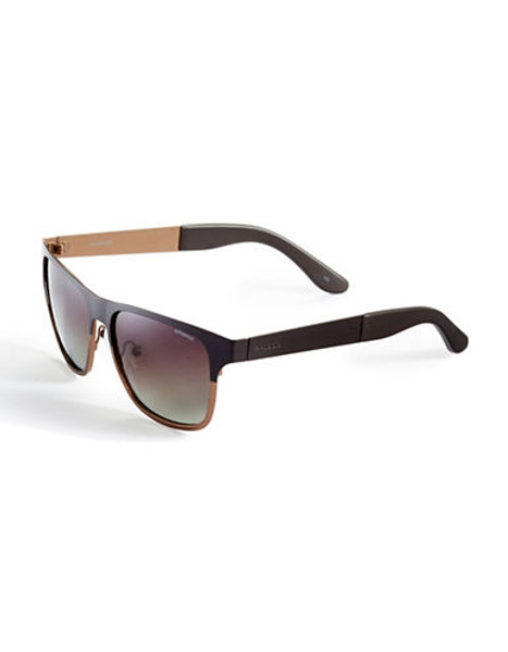 Polaroid Colourblocked Polarized Square Sunglasses - Brown