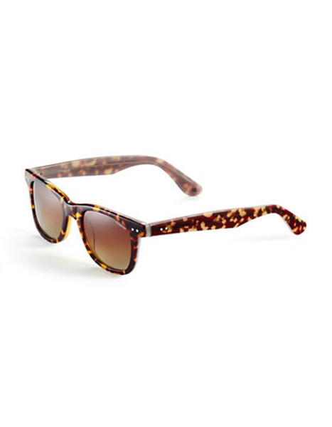 Polaroid Plastic Polarized Square Sunglasses - Tortoise