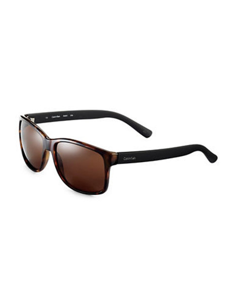 Calvin Klein Plastic Wayfarer - Brown