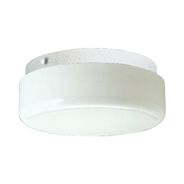 Hard-Nox Collection White 2-light Outdoor Flushmount