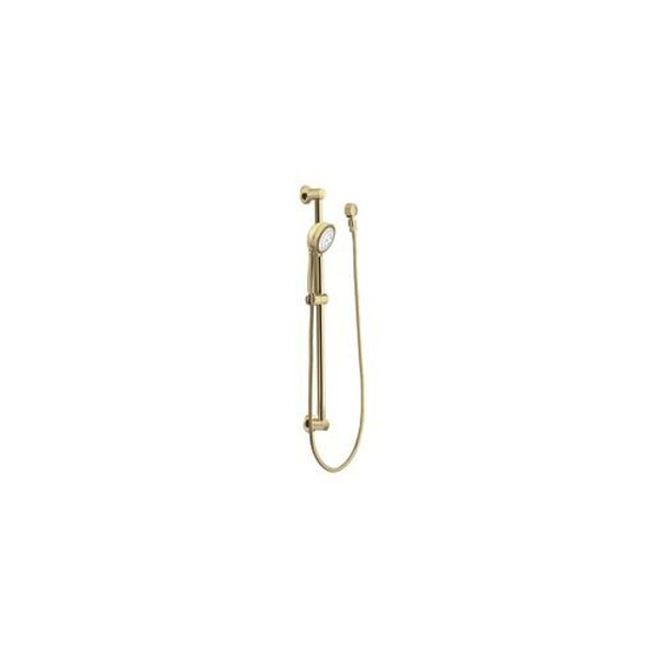 Polished Brass Handheld Shower