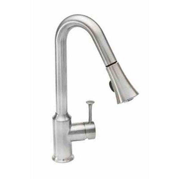 Pekoe Single-Handle Pull-Down Sprayer Kitchen Faucet in Polished Chrome