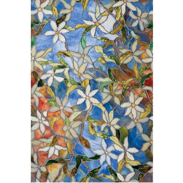 Clematis 24 In. x 36 In.