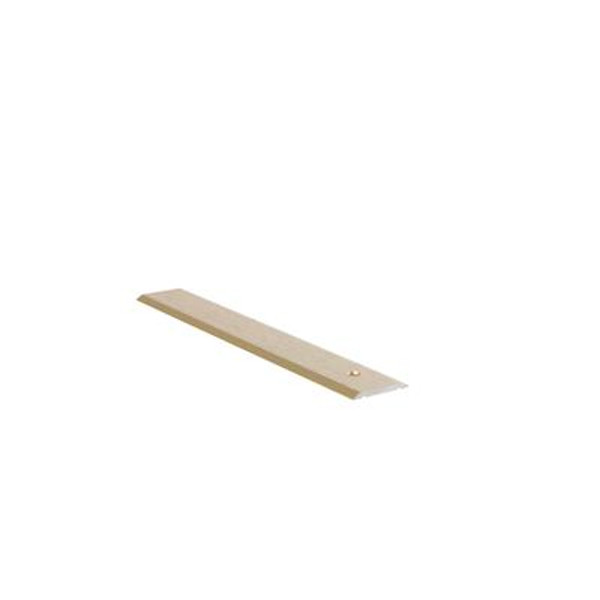 Seambinder Floor Moulding; Hammered Gold - 1 Inch