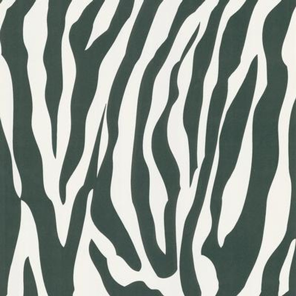 National Geographic Zebra Skin Wallpaper