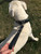 Leather Dog Leash