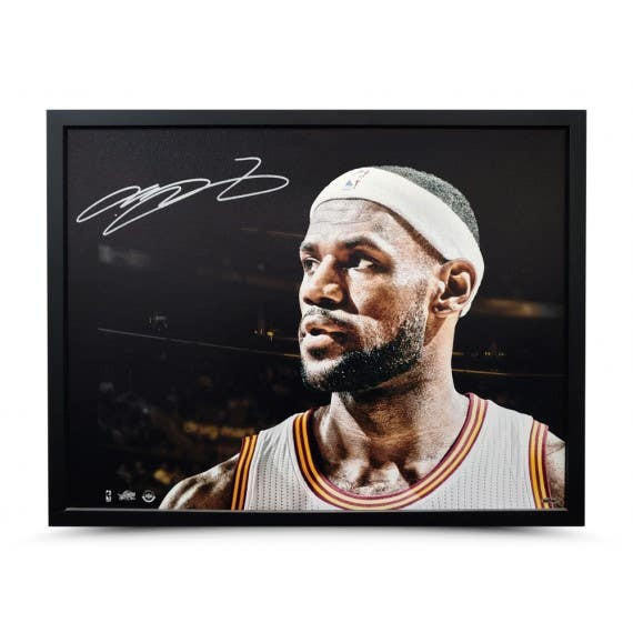 lebron autograph basketball