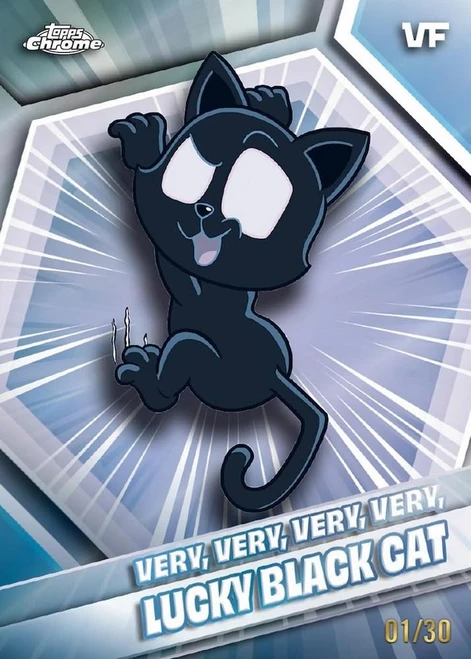 Very, Very, Very, Very, Lucky Black Cat