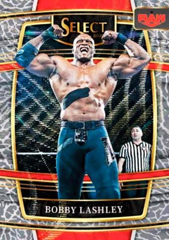 2022 Panini Select WWE Hobby Box