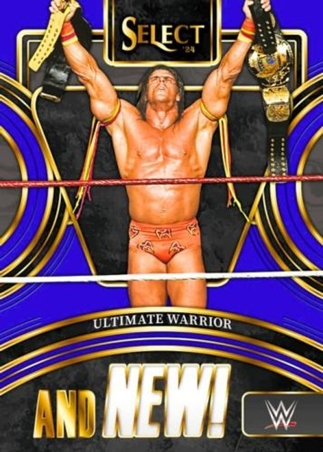 2024 Panini Select WWE Hobby Box