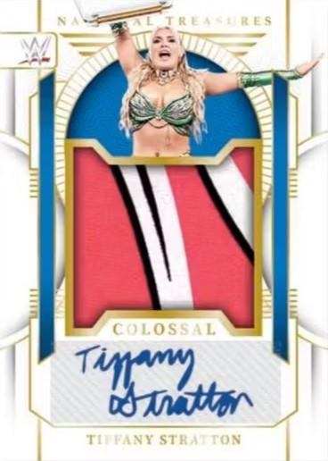 2024 Panini National Treasures WWE Hobby 4 Box Case