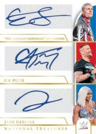 2024 Panini National Treasures WWE Hobby 4 Box Case