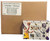 2024/25 Panini Select Basketball Hobby Mega 20 Box Case