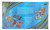 Pokemon Mega Charizard X ex Ultra Premium Collection Box