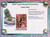 2025 Topps Disney Wonder Hobby