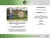 2021 Upper Deck SP Authentic Golf Hobby Pack