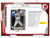 2024 Bowman Baseball Hobby Pack