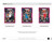 2023/24 Panini Prizm Basketball Mega 20 Box Case