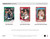 2024/25 Panini Donruss Optic Basketball Hobby Mega Box (Green & Red Seismic)