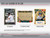 2025 Leaf Seasons in the Sun Baseball Box