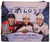 2020/21 Upper Deck Trilogy Hockey Hobby Box