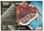 Pokemon Venusaur/Blastoise VMAX Battle (Blastoise )