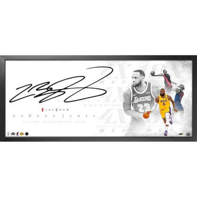 lebron james autographed book