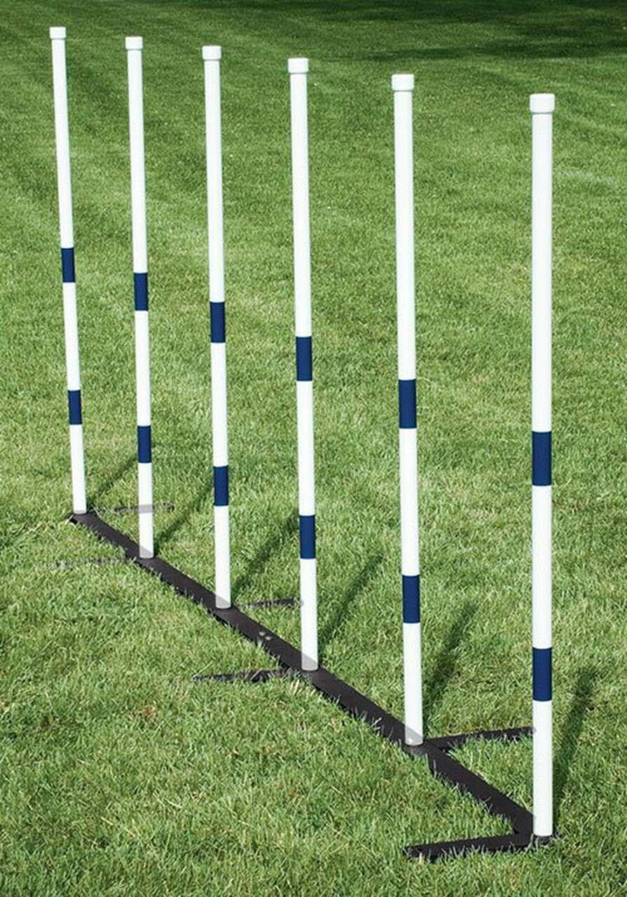 Open Agility Training Tunnels Dog Training J&J Dog Supplies