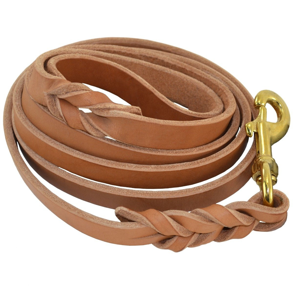 Deluxe FullBraided Leather Dog Leash J&J Dog Supplies
