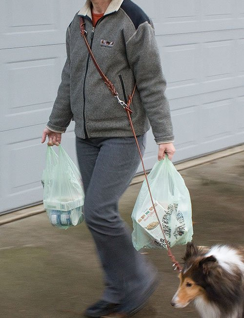 shoulder dog leash