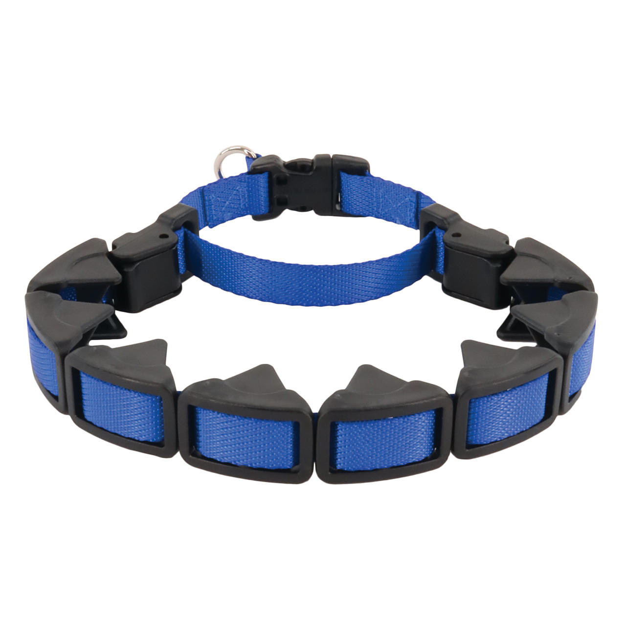Prong Collars, E-Collars and Clickers: Why These Training Tools Are  Important