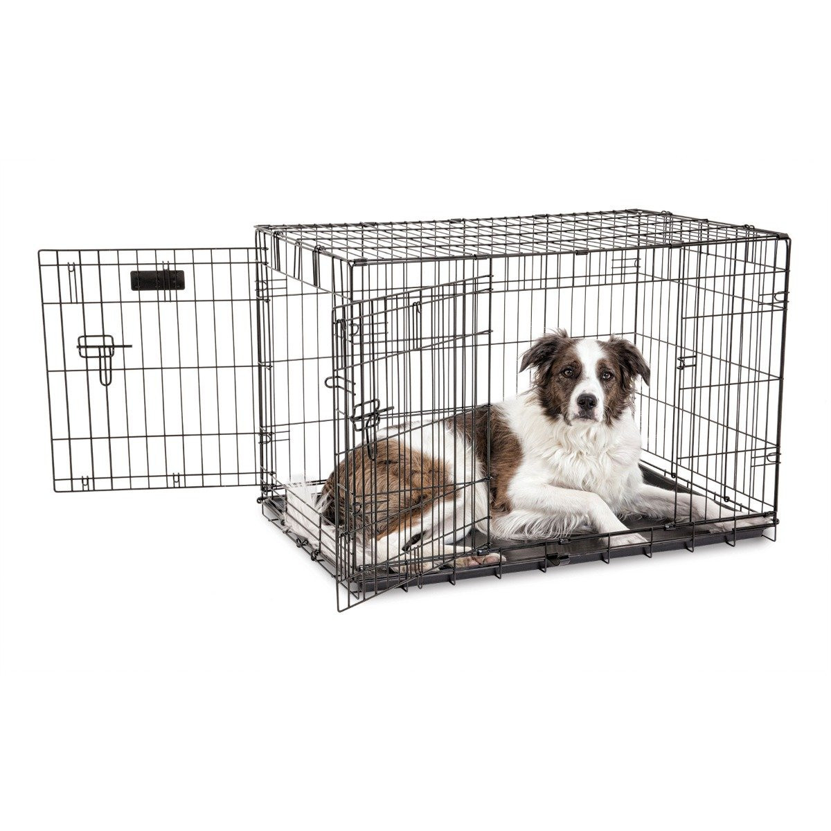 petmate wire kennel