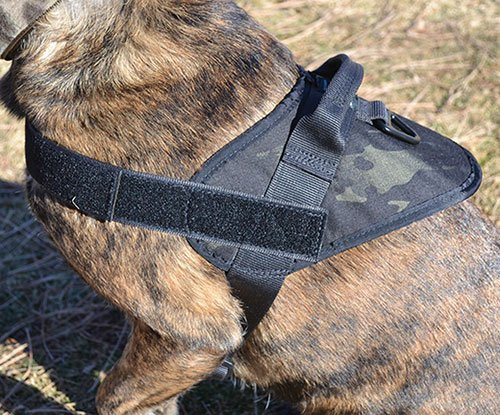 multicam black dog harness