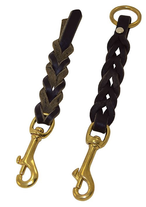dog training tab leash